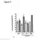 Fig. 10 - Method of modulating epithelial cell activity by modulating the functional levels of sphingosine kinase