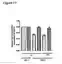 Fig. 11 - Method of modulating epithelial cell activity by modulating the functional levels of sphingosine kinase