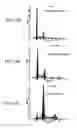 Fig. 16 - BIVM (basic, immunoglobulin-like variable motif-containing) gene, transcriptional products, and uses thereof