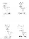 Fig. 02 - Antisense antiviral compounds and methods for treating a filovirus infection