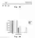 Fig. 09 - Antisense antiviral compounds and methods for treating a filovirus infection