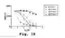 Fig. 17 - Antisense antiviral compounds and methods for treating a filovirus infection