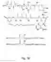 Fig. 03 - Biologically active macrolides, compositions, and uses thereof