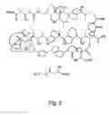 Fig. 04 - Biologically active macrolides, compositions, and uses thereof