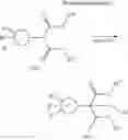 Fig. 83 - Ester derivatives and medical use thereof