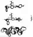 Fig. 02 - Scaffolds for α-helix mimicry