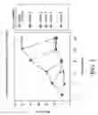 Fig. 04 - Inhibitors of macrophage migration inhibitory factor and methods for identifying the same