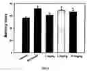 Fig. 06 - Substituted arylamine compounds and methods of treatment