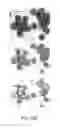 Fig. 28 - Molecules and methods for fluorescence microscopy