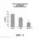 Fig. 06 - Caspase inhibitors as anticancer agents