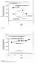 Fig. 05 - Gacyclidine formulations