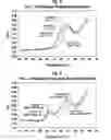 Fig. 04 - Plasticized polyolefin compositions