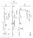 Fig. 03 - Redox polymers for use in electrochemical-based sensors