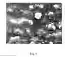 Fig. 02 - Toughened nylon, the process of preparing it and its use