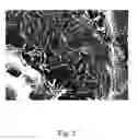 Fig. 03 - Toughened nylon, the process of preparing it and its use