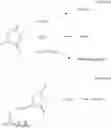 Fig. 06 - Derivatives of end capped polysuccinimides