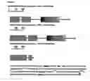 Fig. 09 - Spliced variants of lgr6