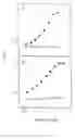 Fig. 07 - Streptoccal inhibitor of complement-mediated lysis, protein SIC