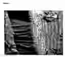 Fig. 02 - Templated native silk smectic gels