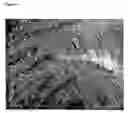 Fig. 09 - Templated native silk smectic gels