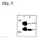 Fig. 20 - Separation of albumin from protein samples