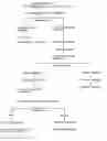 Fig. 01 - Pharmaceutical compositions having appetite suppressant activity