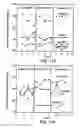Fig. 12 - Pon polypeptides polynucleotides encoding same and compositions and methods utilizing same