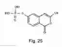 Fig. 26 - Pon polypeptides polynucleotides encoding same and compositions and methods utilizing same