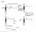 Fig. 03 - Process for performing an isolated Pd(II)-mediated oxidation reaction