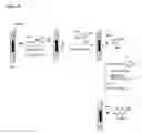 Fig. 16 - Process for performing an isolated Pd(II)-mediated oxidation reaction