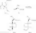 Fig. 24 - 2-oxabicyclo[3.3.0]octane compounds, process for producing the same, optical resolver, method of separating diastereomer mixture, and method of optically resolving alcohol