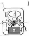 Fig. 05 - Apparatus and method for ablating deposits from blood vessel