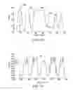 Fig. 04 - Apparatus and method for producing respiration-related data