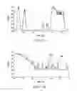 Fig. 06 - Apparatus and method for producing respiration-related data