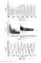 Fig. 07 - Apparatus and method for producing respiration-related data
