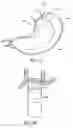 Fig. 48 - Attachment system for transmural attachment at the gastroesophageal junction