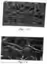 Fig. 09 - Unitary stratified composite