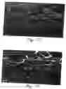 Fig. 11 - Unitary stratified composite