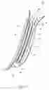 Fig. 09 - Disposable absorbent articles having multiple absorbent core components including replaceable components