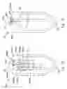 Fig. 43 - Disposable absorbent articles having multiple absorbent core components including replaceable components