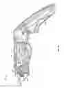 Fig. 02 - Handpiece with RF electrode and non-volative memory