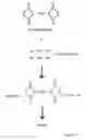 Fig. 22 - Injection device for the invertebral disc