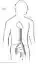 Fig. 02 - Device and method for establishing an artificial arterio-venous fistula