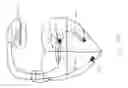 Fig. 06 - Integrated lead for applying cardiac resynchronization therapy and neural stimulation therapy