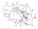 Fig. 09 - Integrated lead for applying cardiac resynchronization therapy and neural stimulation therapy