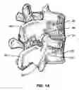 Fig. 02 - Percutaneous endoscopic access tools for the spinal epidural space and related methods of treatment