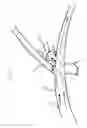 Fig. 02 - Flexible vascular occluding device