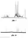 Fig. 02 - Isomarker system for component analysis of mixtures