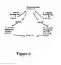 Fig. 07 -  Scientific Formula and System which derives and creates a standardized data table in a Personnel Recruiting System