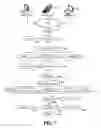 Fig. 08 - Real-time, interactive, competitive method of on-line auction utilizing an auctioneer